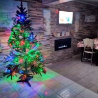 Коледна🎄 елха