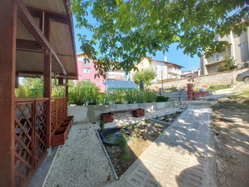 Backyard with mini lake