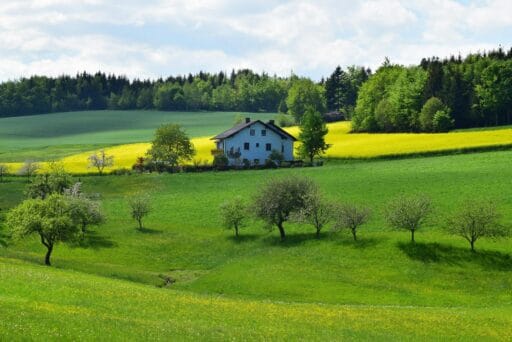 white house near green leafed trees